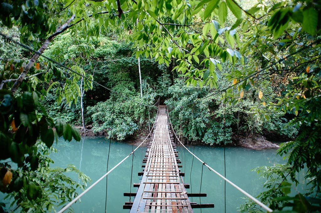A suspension bridge crosses a tropical river.